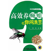 高效养蝇蛆你问我答