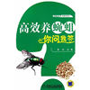高效养蝇蛆你问我答