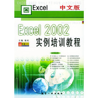 中文版Excel 2002实例培训教程