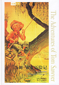 汤姆·索耶历险记
