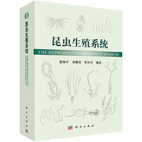昆虫生殖系统