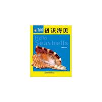初始海贝