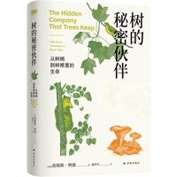 树的秘密伙伴：从树梢到树根里的生命（“天际线”丛书）360余幅精美插图全景呈现树木的“朋友圈” 科普作家严莹倾情推荐