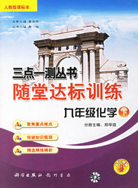 三点一测丛书随堂达标训练：九年级化学·下(人教版课标本)