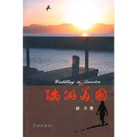 蹒跚美国