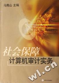 社会保障计算机审计实务