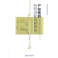 产业集群协同创新机制研究——基于西北民族产业数据