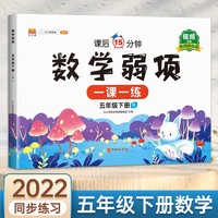 数学弱项训练五年级下册同步课堂练习册人教版小学5下册随堂专项训练练习题课前课后学习资料书