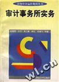 审计事务所实务