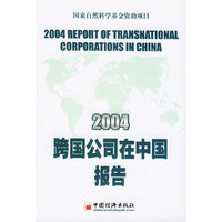 2004跨国公司在中国报告