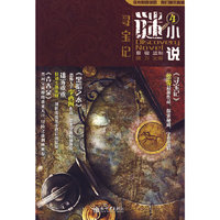 谜小说4:寻宝记