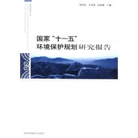 国家十一五环境保护规划研究报告