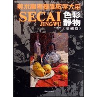 色彩静物(基础篇)/美术高考基础教学大全(美术高考基础教学大全)
