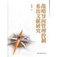 战略导向管理控制系统文献研究