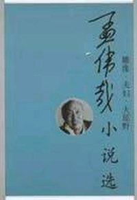 孟伟哉小说选