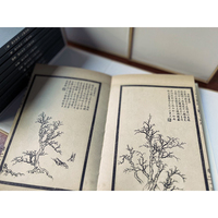 中国古代经典画谱集成 三希堂画宝 山水石谱卷 全10册