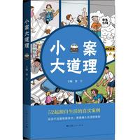 小案大道理