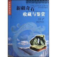 新疆奇石收藏与鉴赏(走进新疆丛书)
