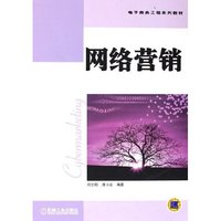 网络营销(电子商务工程系列教材)