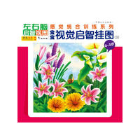 左右脑启智试图：宝宝视觉启智挂图3（0~3）