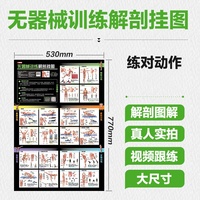 无器械训练解剖挂图