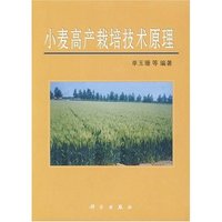 小麦高产栽培技术原理(Theory of High-yield Wheat Cultivation 