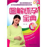 图解怀孕宝典