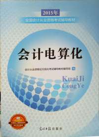 2015会计电算化