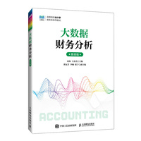 大数据财务分析(微课版)
