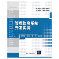 管理信息系统开发实务（应用型本科信息管理与信息系统专业规划教材）