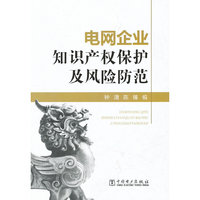 电网企业知识产权保护及风险防范