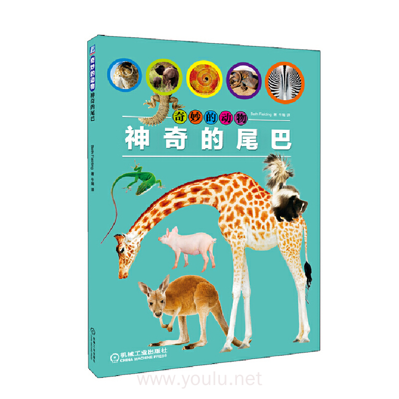 神奇的尾巴-奇妙的动物