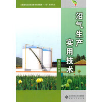 沼气生产实用技术