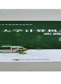 大学计算机基础实践教程(第二版)