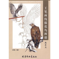 工笔画线描花鸟画谱：鹰隼篇