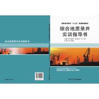 综合地质录井实训指导书