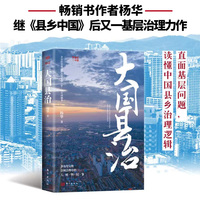 大国县治（继《县乡中国》后 畅销书作者杨华又一基层治理力作）