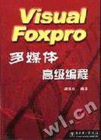 Visual Foxpro多媒体高级编程