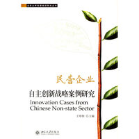 民营企业：自主创新战略案例研究