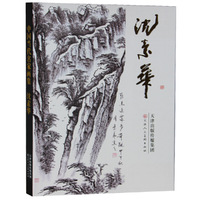 中国当代名家画集：沈素华