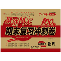 聚能闯关100分期末复习冲刺卷九年级下册物理20春(苏科版)