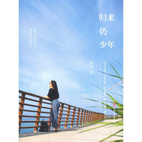 归来仍少年