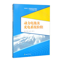 动力电池及充电系统检修