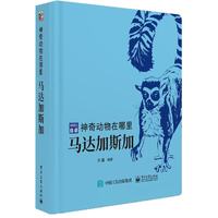 神奇动物在哪里 马达加斯加