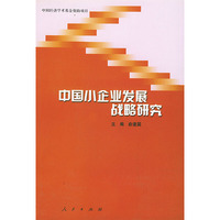 中国小企业发展战略研究
