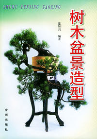 树木盆景造型