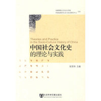 中国社会文化史的理论与实践