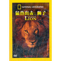 动物世界 猛兽出击:狮子(DVD)