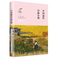2018中国最佳中篇小说  太阳鸟文学年选二十一周年