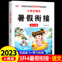 小学生语文暑假衔接3升4